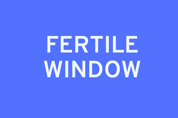 Fertile Window: You Can’t Actually Get Preggers At All Times