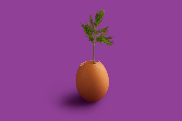 Let’s Talk Fertility Consultations: Do You Know About REIs?