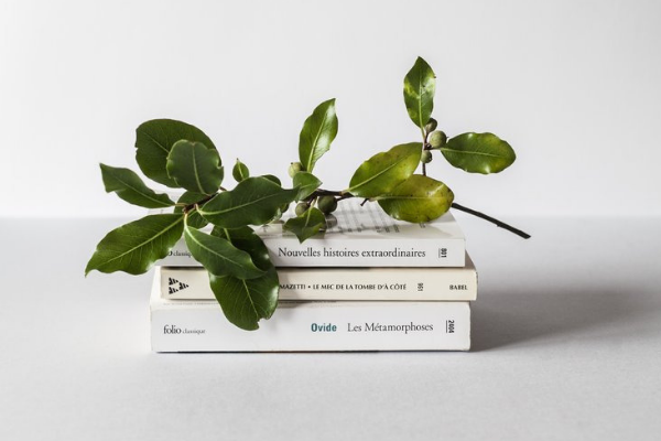 Be A Smarter Reader: How To Understand “Risk” In Health Studies