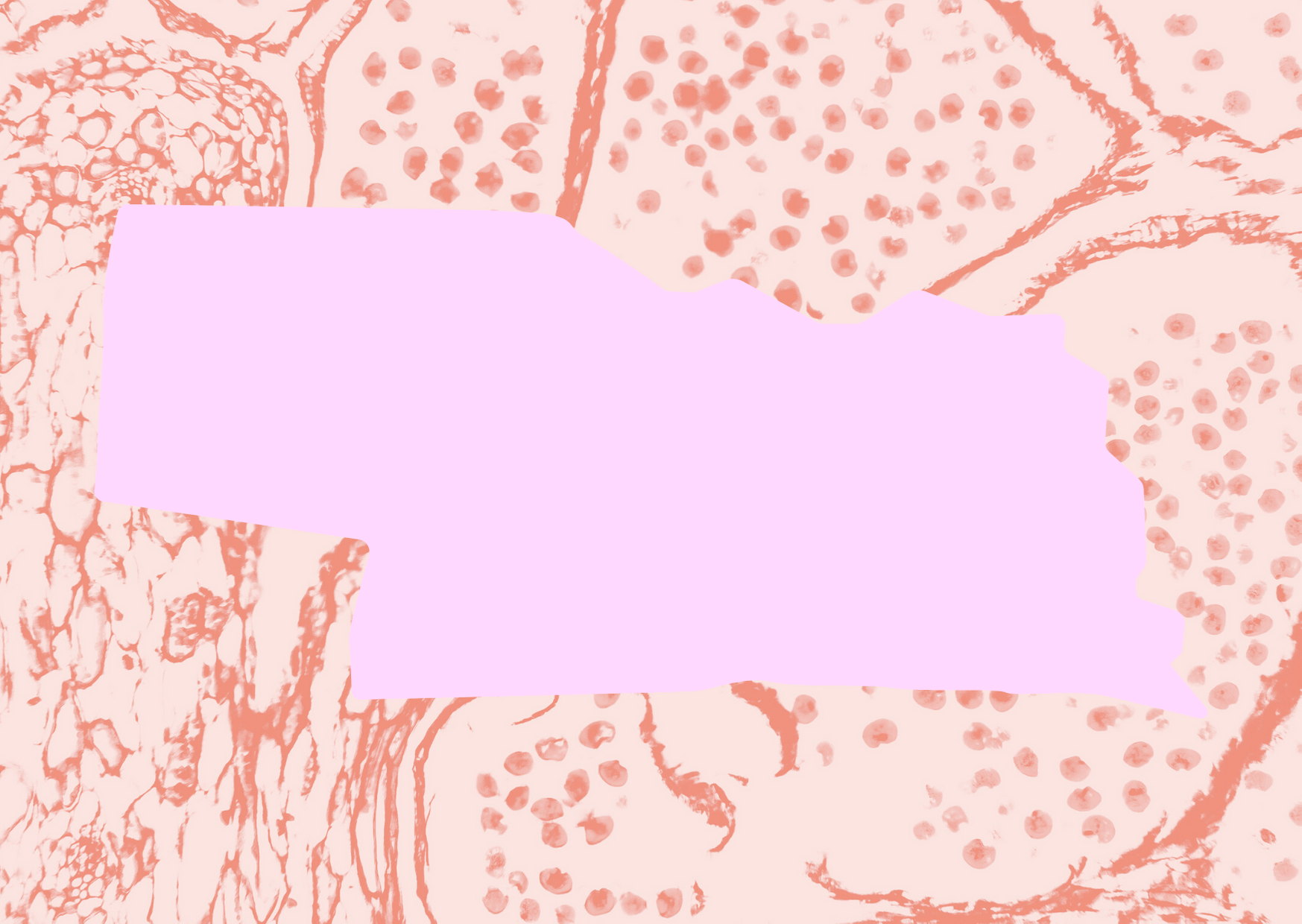 Tomato Shapes Get Well Soon Card (13) (1)