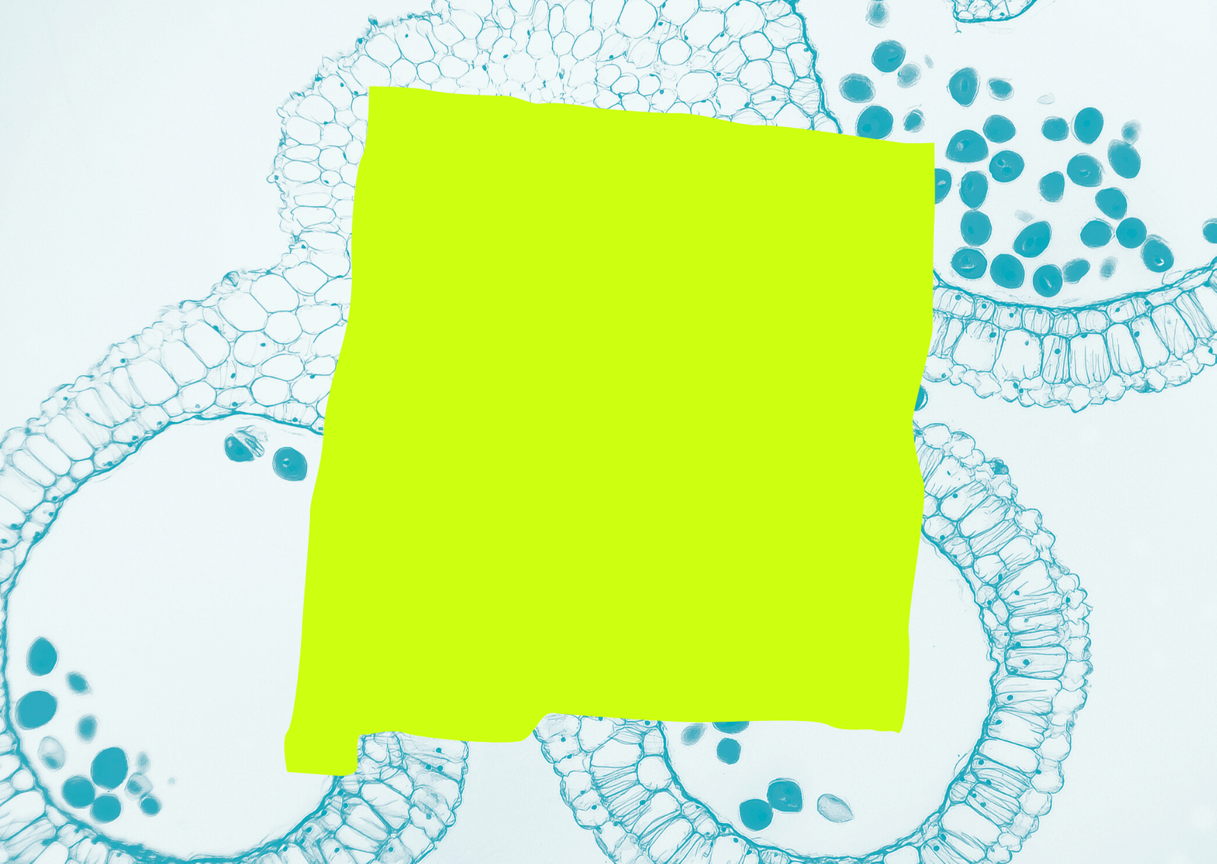 Tomato Shapes Get Well Soon Card (14) (1)