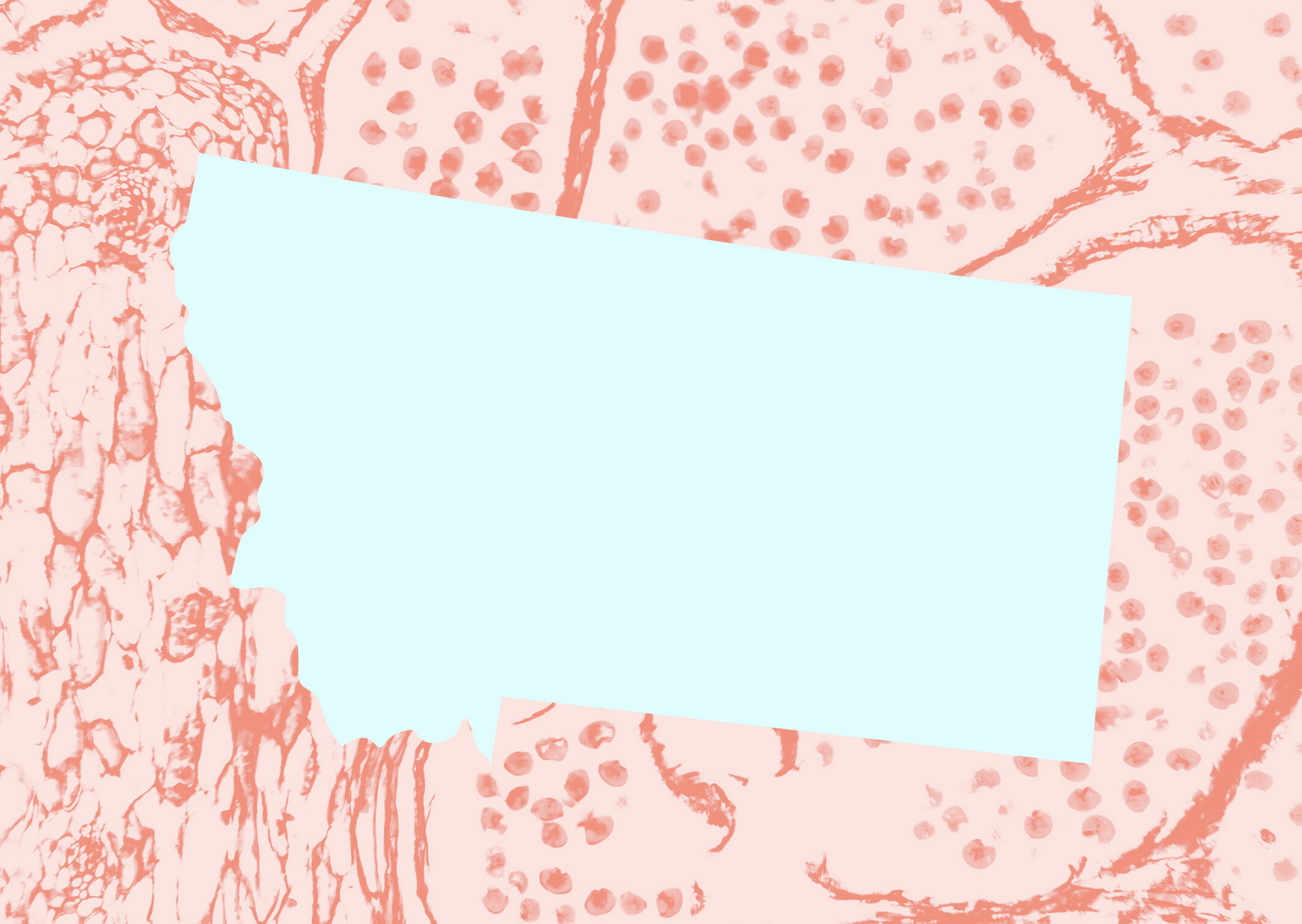 Tomato Shapes Get Well Soon Card (22) (1)