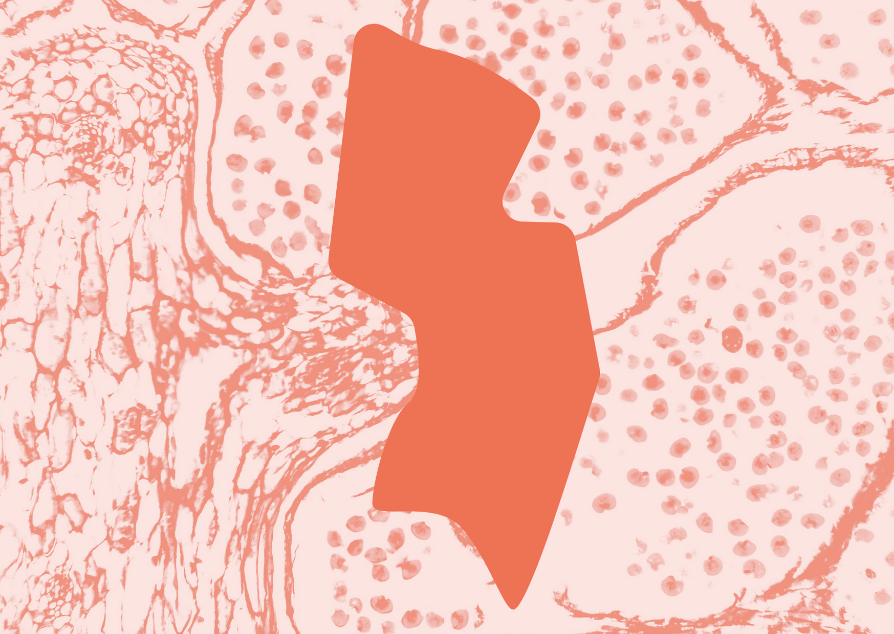 Tomato Shapes Get Well Soon Card (31) (1)
