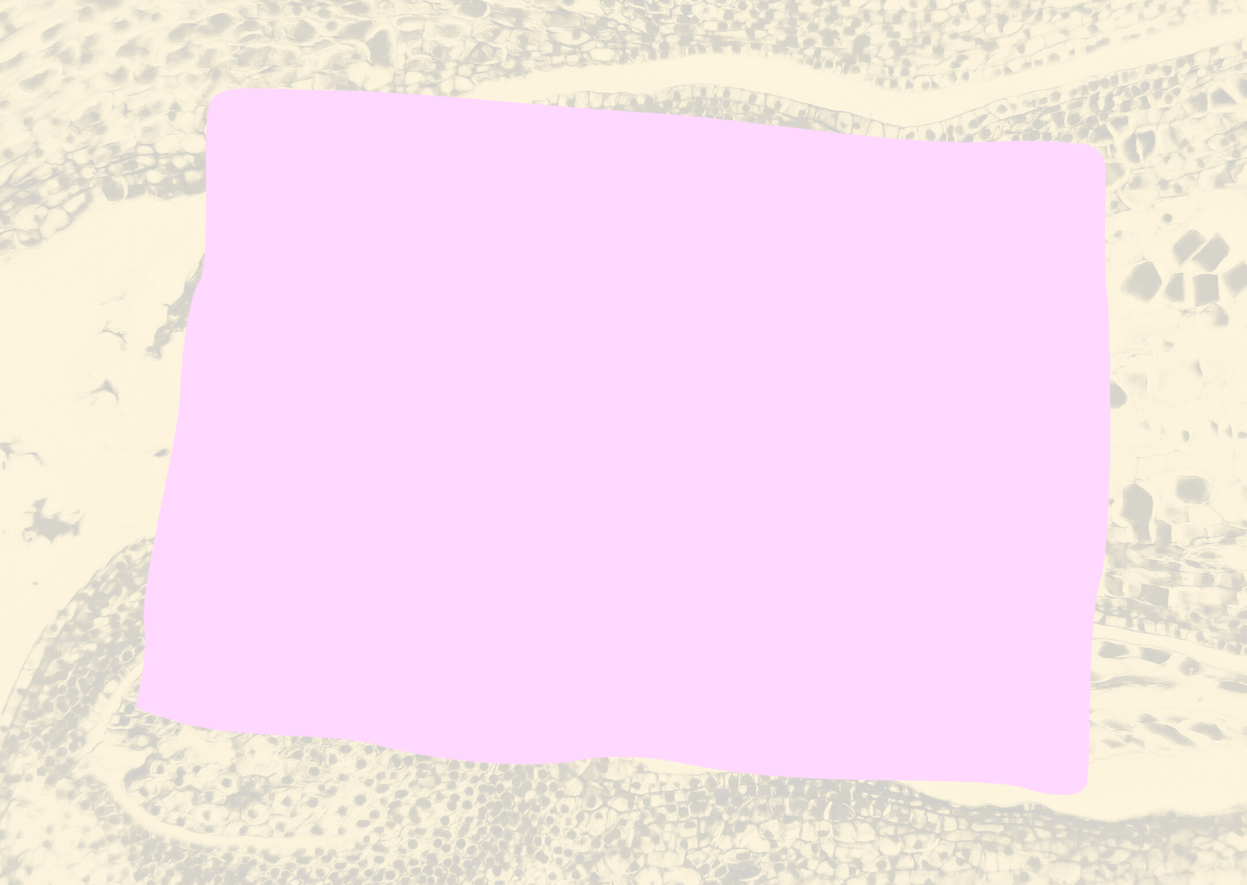 Tomato Shapes Get Well Soon Card (37) (1)