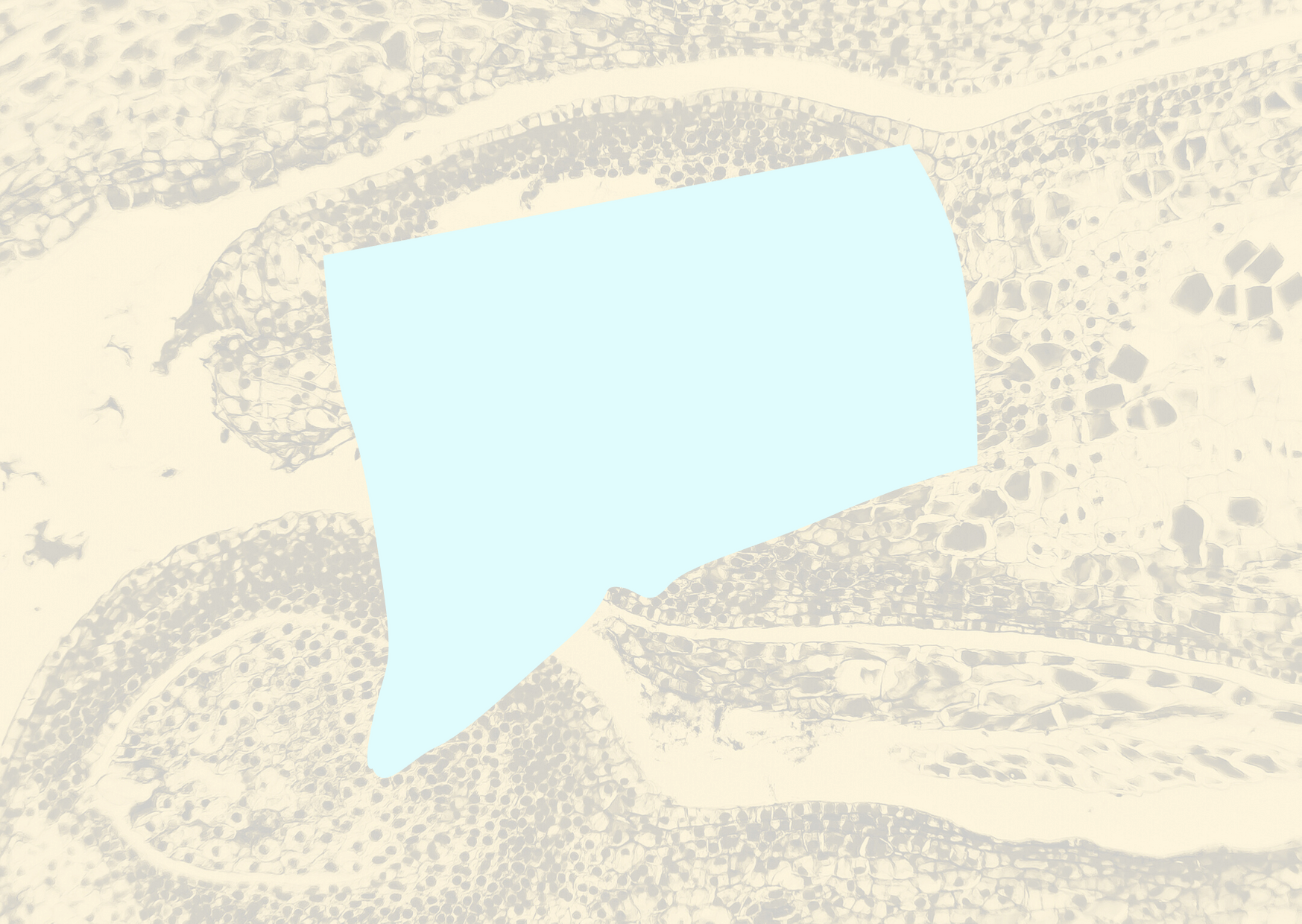 Tomato Shapes Get Well Soon Card (41) (1)