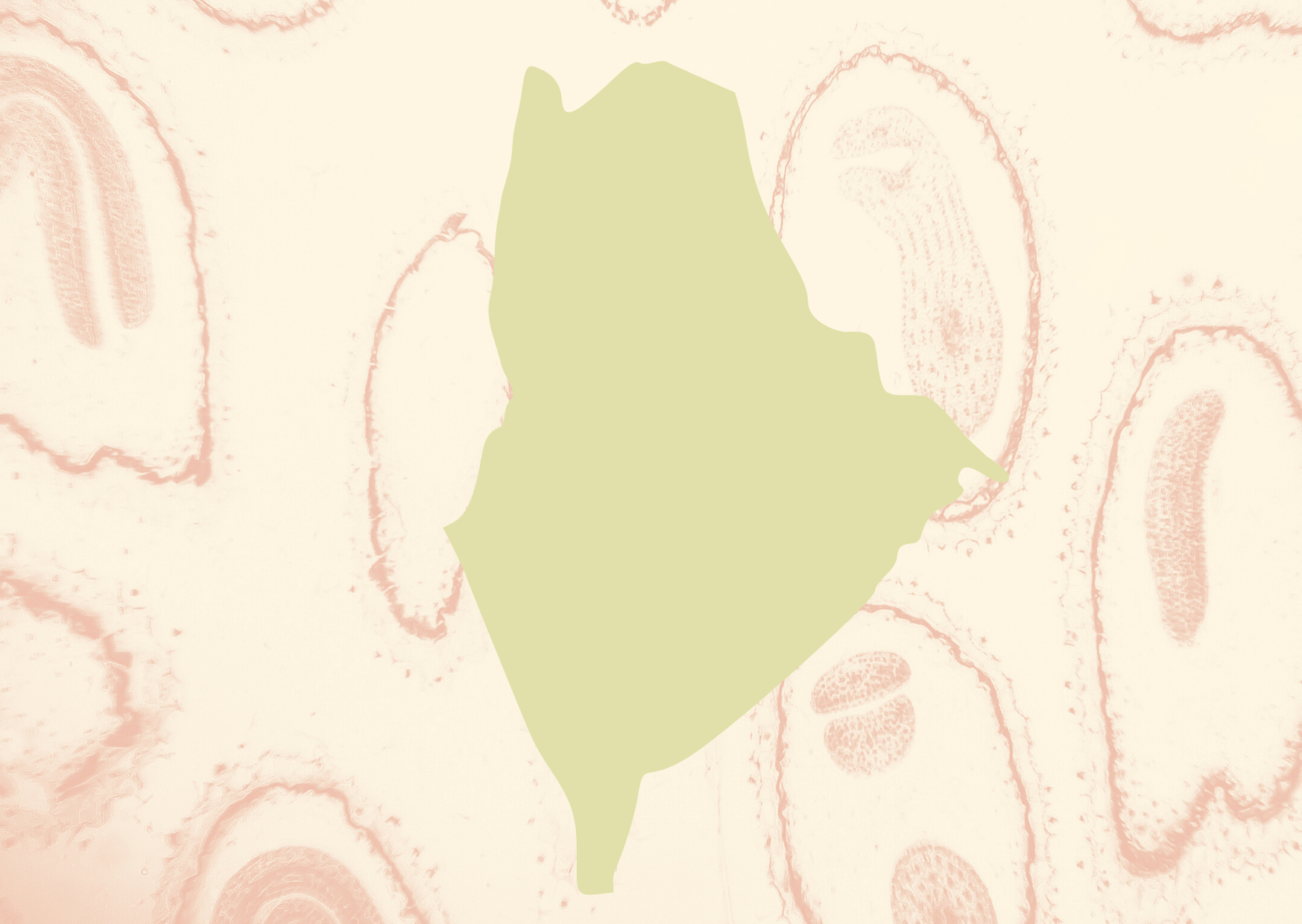 Tomato Shapes Get Well Soon Card (47) (1)