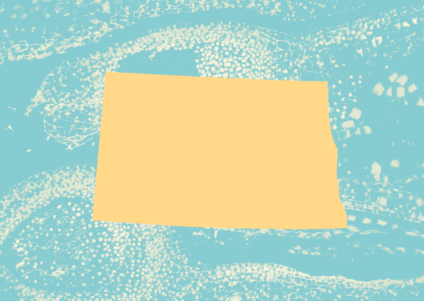 Tomato Shapes Get Well Soon Card (52) (1)