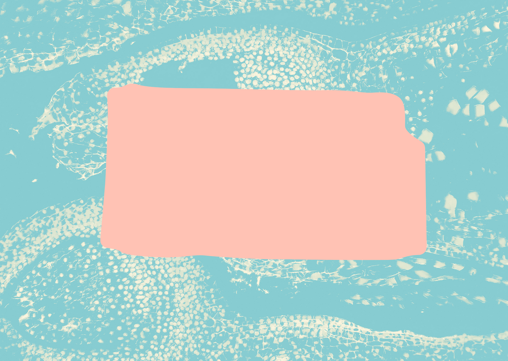 Tomato Shapes Get Well Soon Card (64) (1)