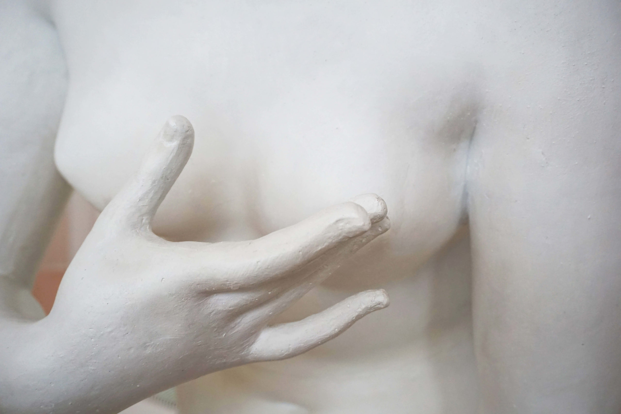victoria-strukovskaya-fu3UqXTbGcs-unsplash-2