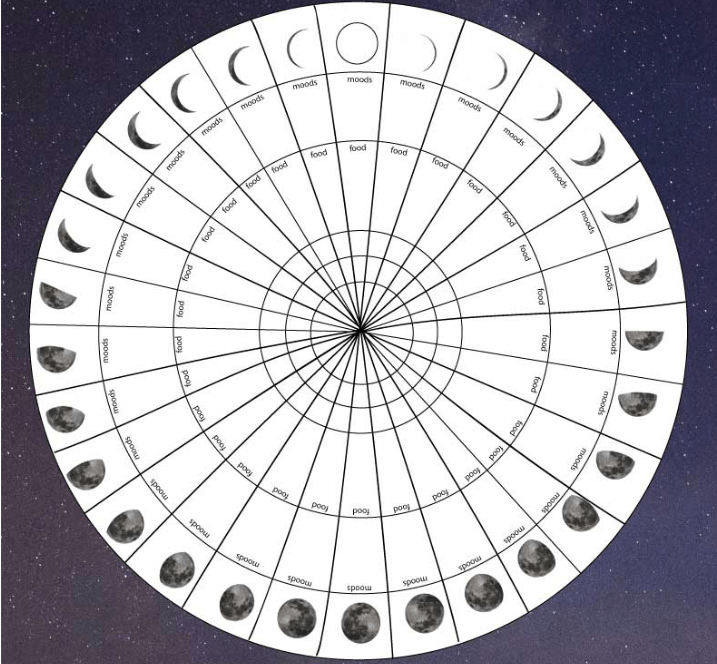 Track Your Moon Cycle