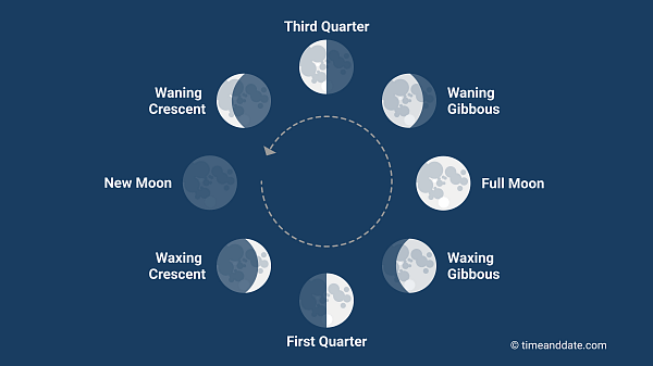 The Lunar Cycle
